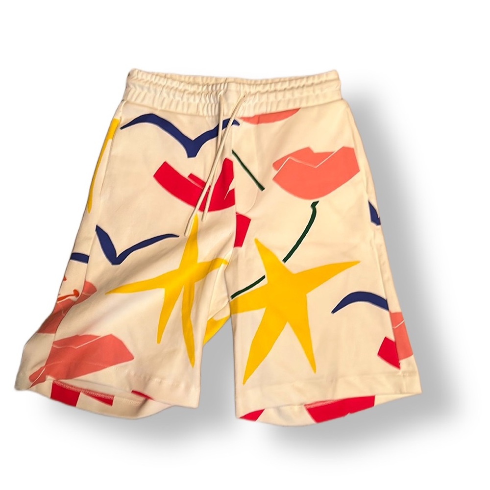 Colourful Sebastian Curie x Zara Shorts